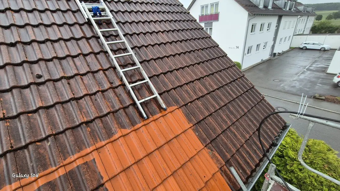 Entstehen Algen- und Moosbewuchs so das Regenwasser schlecht oder gar nicht mehr abfließt. 